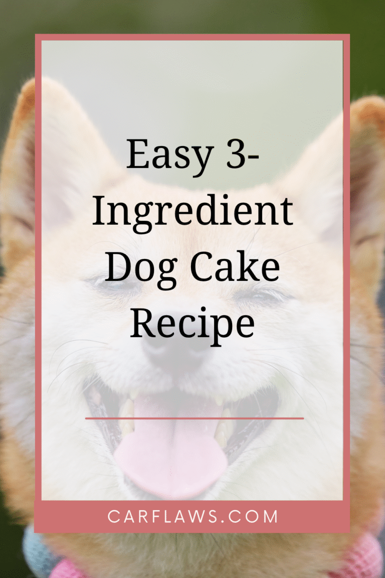 Easy 3-Ingredient Dog Cake Recipe (Healthy & Homemade)