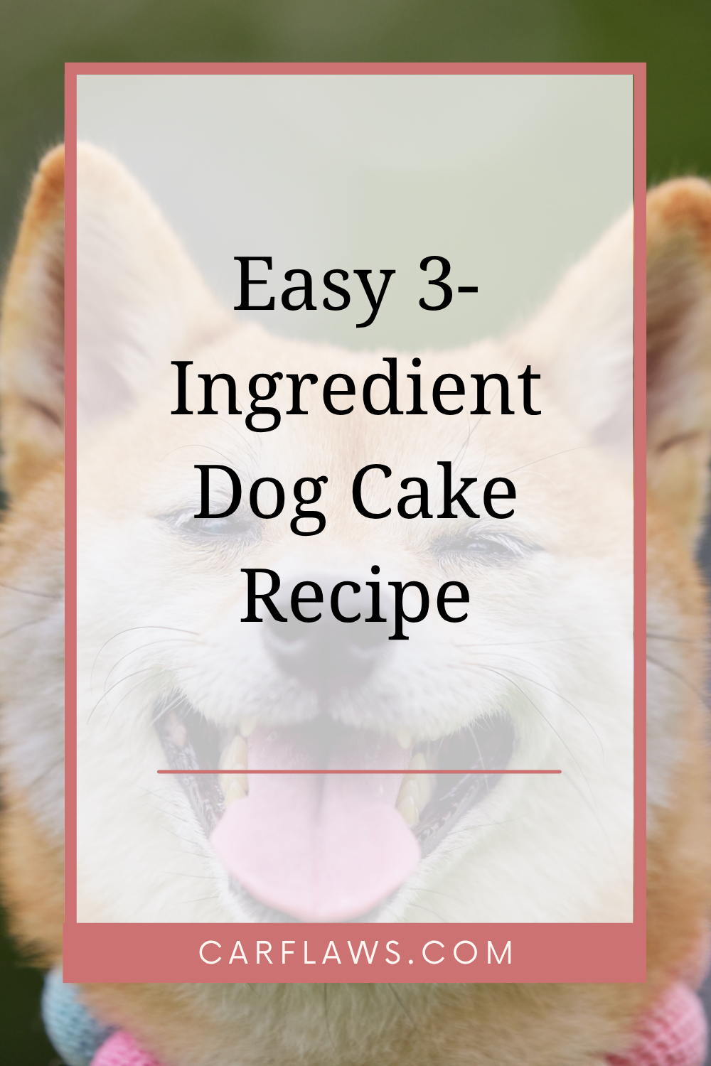 Easy 3-Ingredient Dog Cake Recipe (Healthy & Homemade)